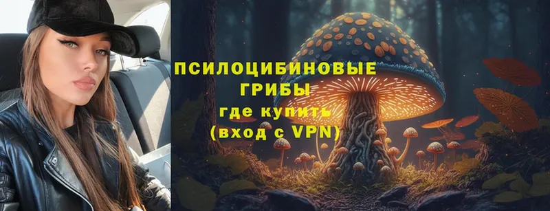 Галлюциногенные грибы MAGIC MUSHROOMS  Камышин 